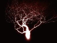 Picture for song 'godspeed' by artist 'Cousin Ed'