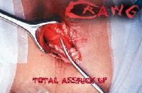 Picture for song 'Attack of the Fartman' by artist 'CRANG'