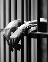 Picture for song 'P.O.W.' by artist 'Crazy Craze'