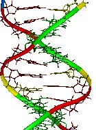 Picture for song 'DNA 4 life (DNA ft Elimination)' by artist 'CRC'