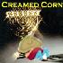 Picture for song 'Por Favor Senora (May I Sit Next To Your Menorah)' by artist 'Creamed Corn'