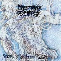 Picture for song 'killing in the name of satan' by artist 'Creations Demise'