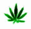 Picture for song 'mary jane' by artist 'creeper loc'