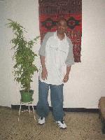 Picture for song 'creyesis broke pocket pimpin' by artist 'creyesis'