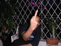 Picture for song 'creyesis rhymestone tactics' by artist 'creyesis'