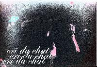 Picture for song 'CustodiaL Clerk' by artist 'Cri Du Chat'