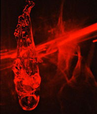 Picture for song 'All the Freaks' by artist 'Crime Scene Dog'