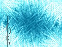 Picture for song 'Rain.' by artist 'Crime Scene Dog'