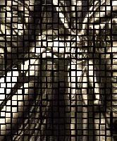 Picture for song 'The Garden' by artist 'CrimsonFaced'