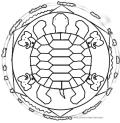 Picture for song 'Turtle' by artist 'Croaki'