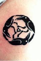 Picture for song 'let it go' by artist 'Crows of Calcutta'