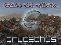 Picture for song 'Leap Of Faith' by artist 'Crucethus'