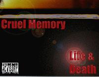 Picture for song 'Fading Away' by artist 'Cruel Memory'