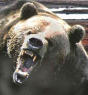 Picture for song 'Head of State: the rap' by artist 'crunkbear'