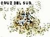 Picture for song 'Footprints (No Greater Love)' by artist 'Cruz del Sur'