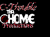 Picture for song 'We Can`t Go On' by artist 'C-Trouble'