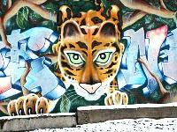 Picture for song 'Find a Common Cause' by artist 'Cue Right'