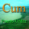 Picture for song 'Cum - tu madre' by artist 'CUM'