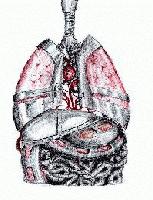 Picture for song 'Iron Lungs (reprise)' by artist 'Curtisey'