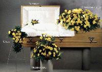 Picture for song 'Pushinupdasies - Quest & Curt' by artist 'Curtisey'