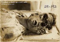 Picture for song 'Raw...' by artist 'Curtisey'