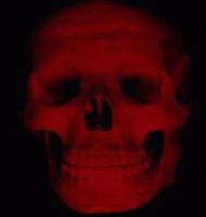 Picture for song 'Keep It Live (Freestyle)' by artist 'C Wolk'