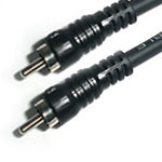 Picture for song 'Daani Riddim (No EQ)' by artist 'Daani'