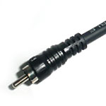 Picture for song 'Green' by artist 'Daani'