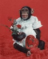 Picture for song 'Valentine in da mix' by artist 'Da Azianatikz'