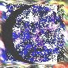 Picture for song 'grasshopper's revelation (2nd half)' by artist 'dadala'