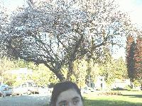 Picture for song 'basurahermosura' by artist 'dadaLU'