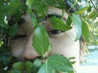 Picture for song 'ramadas udec' by artist 'dadaLU'