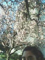 Picture for song 'semillas primaverales' by artist 'dadaLU'