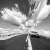 Picture for song 'la trampa del mono' by artist 'Daedro'