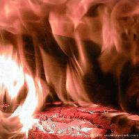 Picture for song 'Lain Sosa Oh! Freestyle' by artist 'DageProductions'