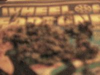 Picture for song 'Slo'd Freestyle (Slow'd N Blow'd)' by artist 'Da Get Up Boy'