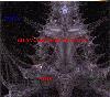 Picture for song 'AMOR' by artist 'DAGY Y MENOR-MCD PRODUCTIONS'