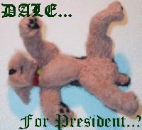 Picture for song 'the girl in the feetie pajamas' by artist 'dale'