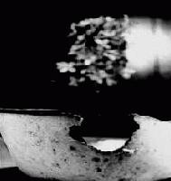 Picture for song 'Occur' by artist 'Dale Lloyd'