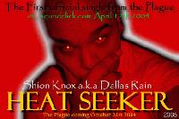 Picture for song 'Heat Seeker' by artist 'Dallas Rain'