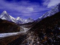 Picture for song 'Autumn Ran' by artist 'Dalmaine'