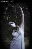 Picture for song 'WHOOOP WHOOOP' by artist 'Da LoonDoCs'