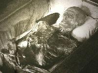 Picture for song 'Buried Alive' by artist 'Da LyRiKaL PUSS-uAsiAn'