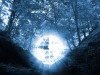 Picture for song 'The Curse Of Divinity' by artist 'Damare'