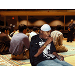 Picture for song 'Bin Laden Ft. Mos Def' by artist 'Damien Tha Omen'