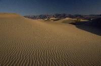 Picture for song 'Grains of Sand' by artist 'Dan and Karen Lange'