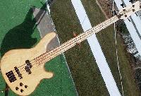 Picture for song 'Fernandes Bass Noodlings Ebay Item # 1501894083' by artist 'Dan E Brown'