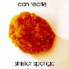 Picture for song 'Sinister Sponge' by artist 'Daniel Tearle'