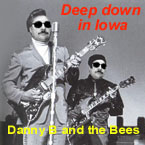Picture for song 'Rough House' by artist 'Danny B and the Bees'