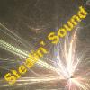 Picture for song 'Stealin' Sound' by artist 'Danny E'